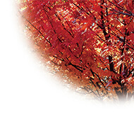 「美しい再生紙」のために。