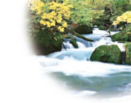 CTPによって変化する印刷プロセス。