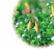 制作から印刷まで 印刷物のつくり方